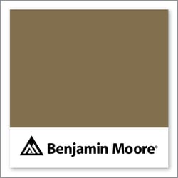 Benjamin Moore Silken Moss 237
