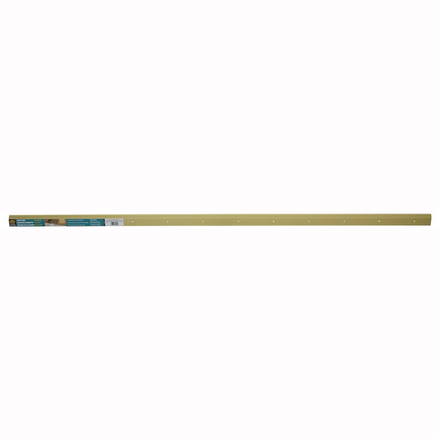 M-D 5/16 in. H X 72 in. L Prefinished Satin Brass Aluminum Carpet Trim