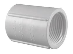 Charlotte Pipe Schedule 40 3/4 in. FPT X 3/4 in. D FPT PVC Coupling