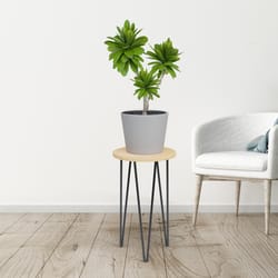 Panacea 16 in. H Black Steel/Wood Plant Stand