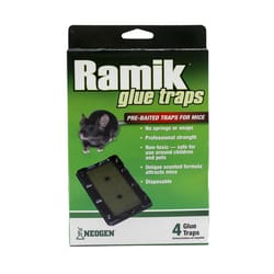 Ramik Small Glue Board Trap For Mice 4 pk