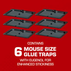 Tomcat Small Glue Trap For Mice 4 pk