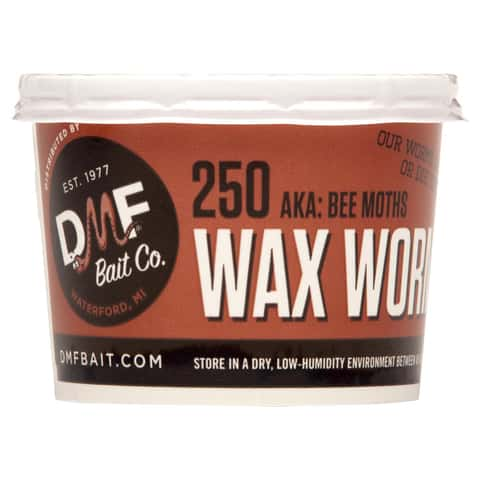 DMF Bait Co Wax Worms Fishing Bait - Ace Hardware