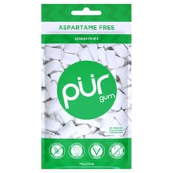 PUR Sugar Free Spearmint Chewing Gum 1 pk 55 pc