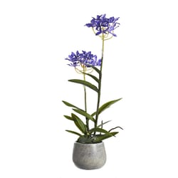 DW Silks 21 in. H X 8 in. L Polyester Purple Epidendrum Orchids in Stone Planter