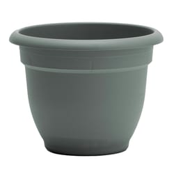 Bloem Ariana 5.25 in. H X 6.5 in. W X 6 in. D Plastic Traditional Planter Basil