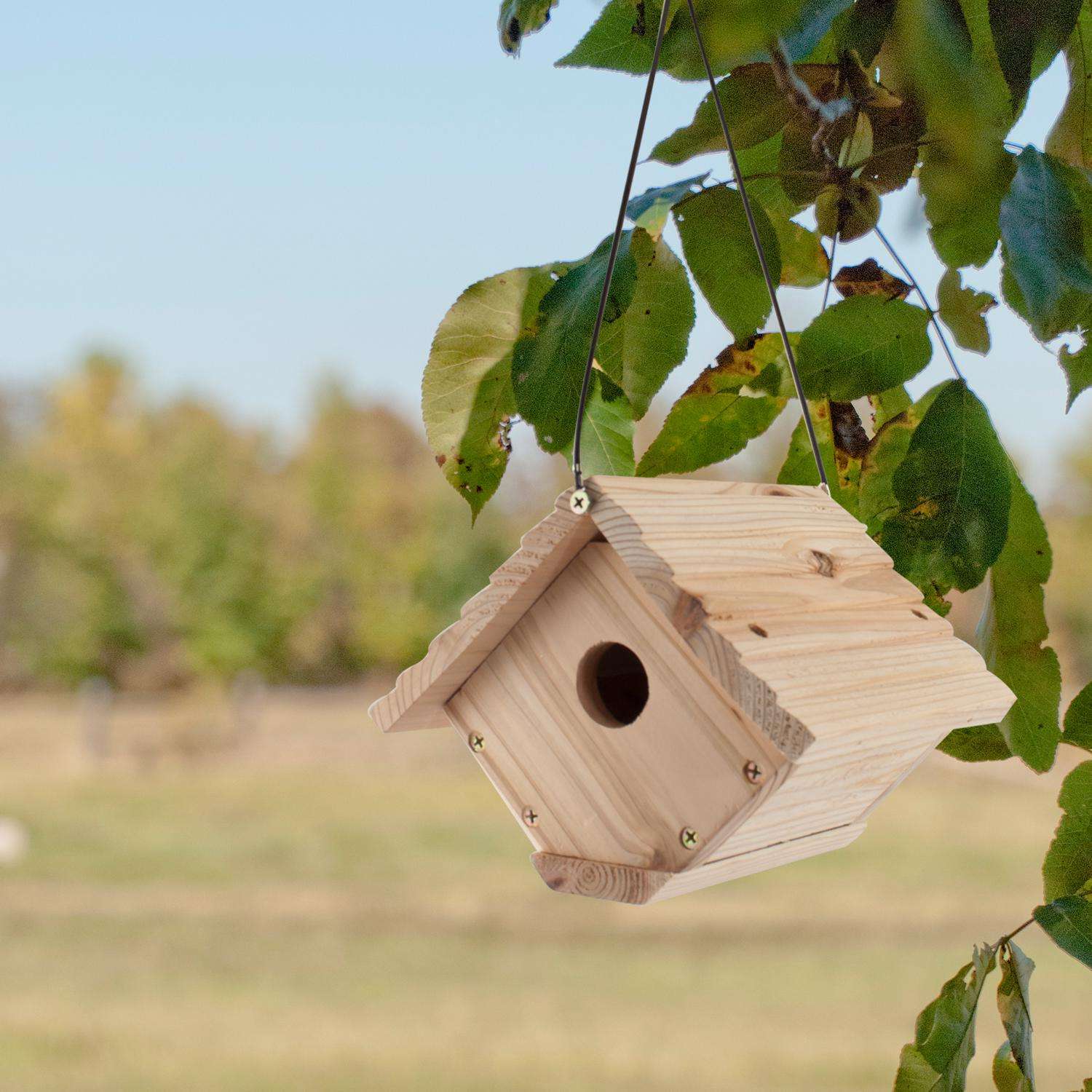 Audubon 6.25 in. H X 6.8 in. W X 7.13 in. L Red Cedar Bird House - Ace  Hardware