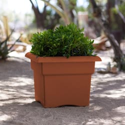 Bloem Veranda 11.25 in. H X 14 in. W X 14 in. D Plastic Traditional Planter Box Terracotta