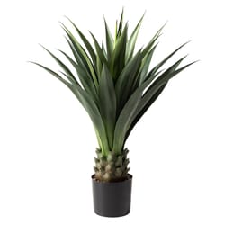 Glitzhome Green Plastic 61 in. H Artificial Potted Plant