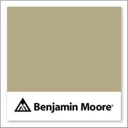 Benjamin Moore Baby Turtle 515