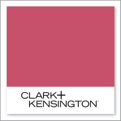 Clark+Kensington Dragon Fruit 03D-4