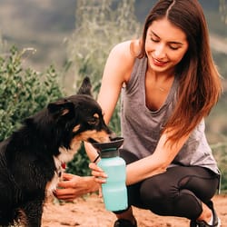 Highwave AutoDogMug Seafoam Green Plastic 20 oz Portable Watering Bottle/Bowl For Dogs
