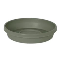 Bloem Terra 2 in. H X 9.5 in. W X 11.25 in. D Plastic Traditional Plant Saucer Green