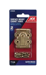 Ace 1.4 in. W X 1-1/4 in. L Satin Brass Brass Cabinet Hinge 2 pk