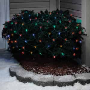 Christmas Lights At Ace Hardware