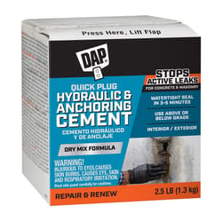 DAP Bondex Quick Plug Hydraulic & Anchoring Cement 2.5 lb Gray