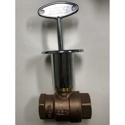 Blue Flame 3/4 in. Brass Quarter-Turn Straight Valve