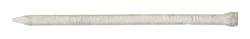 Ace 16D 3-1/2 in. Casing Hot-Dipped Galvanized Steel Nail Brad Head 1 lb