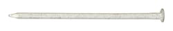 Ace 10D 3 in. Box Hot-Dipped Galvanized Steel Nail Flat Head 1 lb