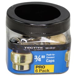 Apollo Tectite Push to Connect 3/4 in. PTC in to Brass Cap