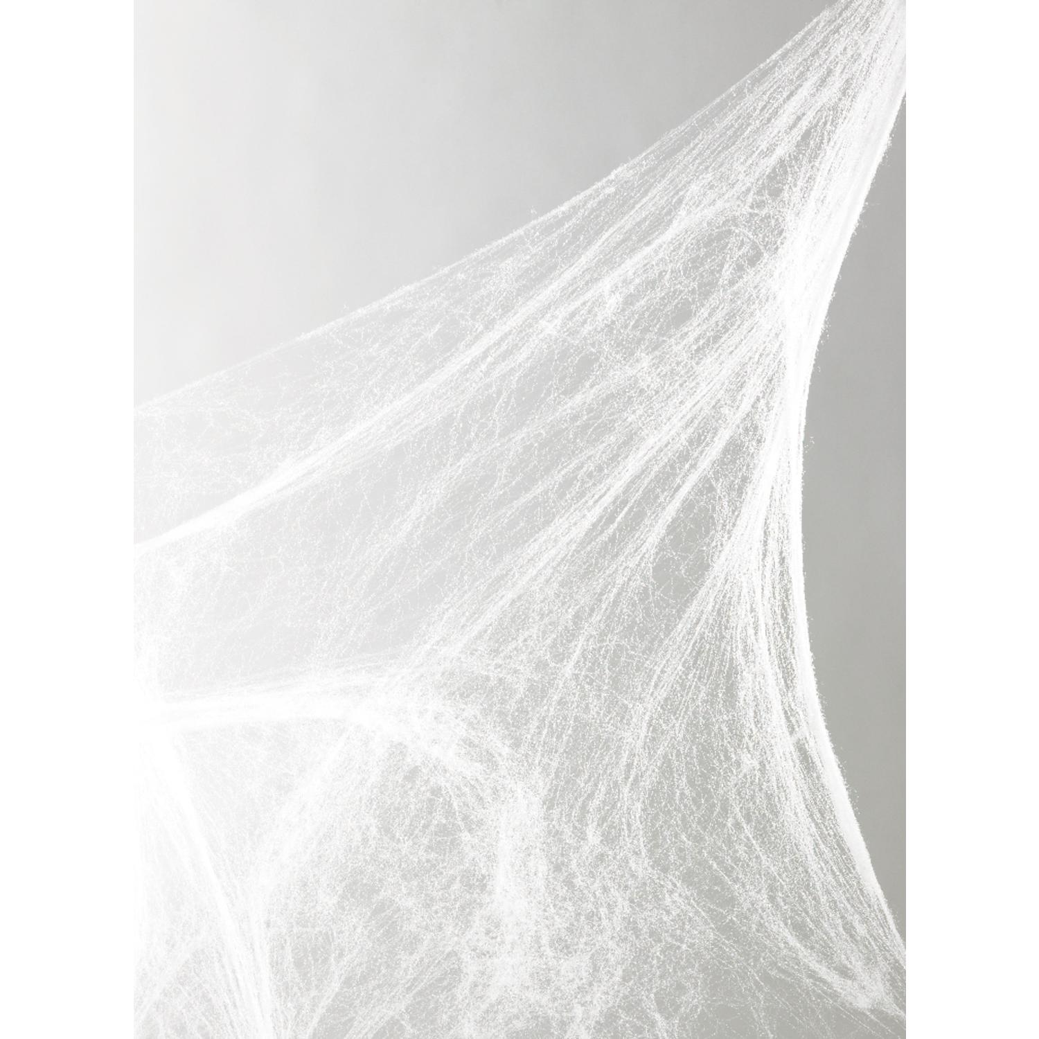 UPC 023168003911 product image for Fun World Spider Web Halloween Decoration 18 in. H x 18 in. W x 11 in. L 1 pk | upcitemdb.com