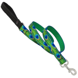 LupinePet Original Designs Multicolor Tail Feathers Nylon Dog Leash