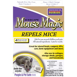 Drop In The Bucket, INC. Medium Multiple Catch Animal Trap For Mice/Voles/Ground  Squirrels/Rats 1 pk - Ace Hardware