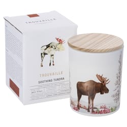 Trouvaille Global White Vegan Scent Soothing Tundra Candle 10 oz