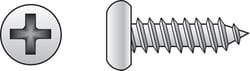 HILLMAN No. 6 Ga. X 5/8 in. L Phillips Pan Head Sheet Metal Screws 100 pk