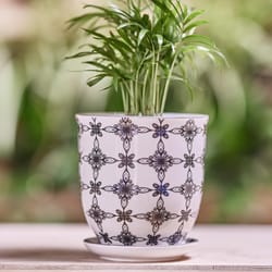 Chive Liberte 3.25 in. D Ceramic Succulent Pot Black Stars