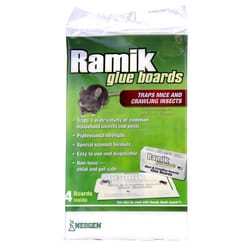 Ramik Board Trap For Insects and Mice 4 pk