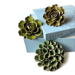 Chive Ceramic Flowers 2.9 in. H X 8.8 in. W X 9.9 in. L Glazed Green Ceramic Fleur Box Set