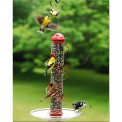 Songbird Essentials Songbird 2.5 qt Metal/Plastic Tube Bird Feeder