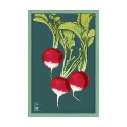 Chive Shido Seed Co. Radish Seeds 1 pk