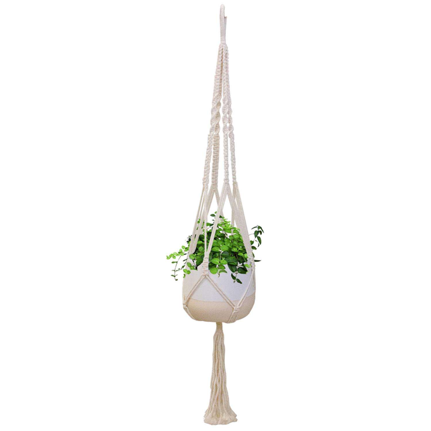 Trendspot Macrame 5.5 in. D Ceramic Planter White