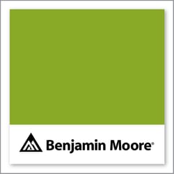 Benjamin Moore Douglas Fir 2028-20