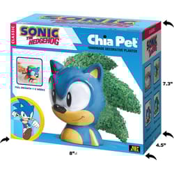 Chia Pet Sonic the Hedgehog Decorative Planter Clay 1 pk