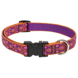 Lupine Pet Original Designs Multicolor Alpen Glow Nylon Dog Adjustable Collar