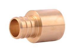 SharkBite 3/4 in. FPT X 3/4 in. D FPT Brass Female Adapter