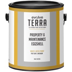 Evolve Terra Eggshell White Interior Latex Wall Paint Interior 1 gal