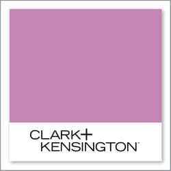 Clark+Kensington Lovely Orchid 01C-5