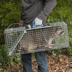 Best Cage Style Trap I have Ever Seen - Black+Decker Trap Catches Rats