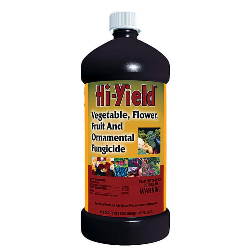 HiYield Concentrated Liquid Fungicide 32 oz Ace Hardware