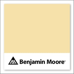 Benjamin Moore Traditional Yellow 170