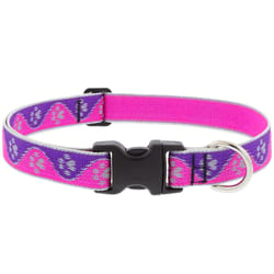 Lupine Pet Reflective Pink Paws Nylon Dog Adjustable Collar