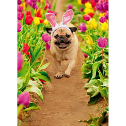 Avanti Press Seasonal Dog Running Through Tulips Easter Card Paper 2 pc