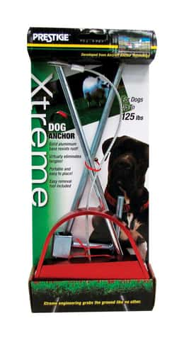 Prestige Prints Xtreme Silver Tie-Out Stake Steel Dog Tie Out Stake  Large/X-Large - Ace Hardware