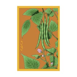 Chive Shido Seed Co. Green Bean Seeds 1 pk