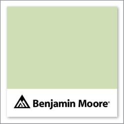 Benjamin Moore Veranda View 541