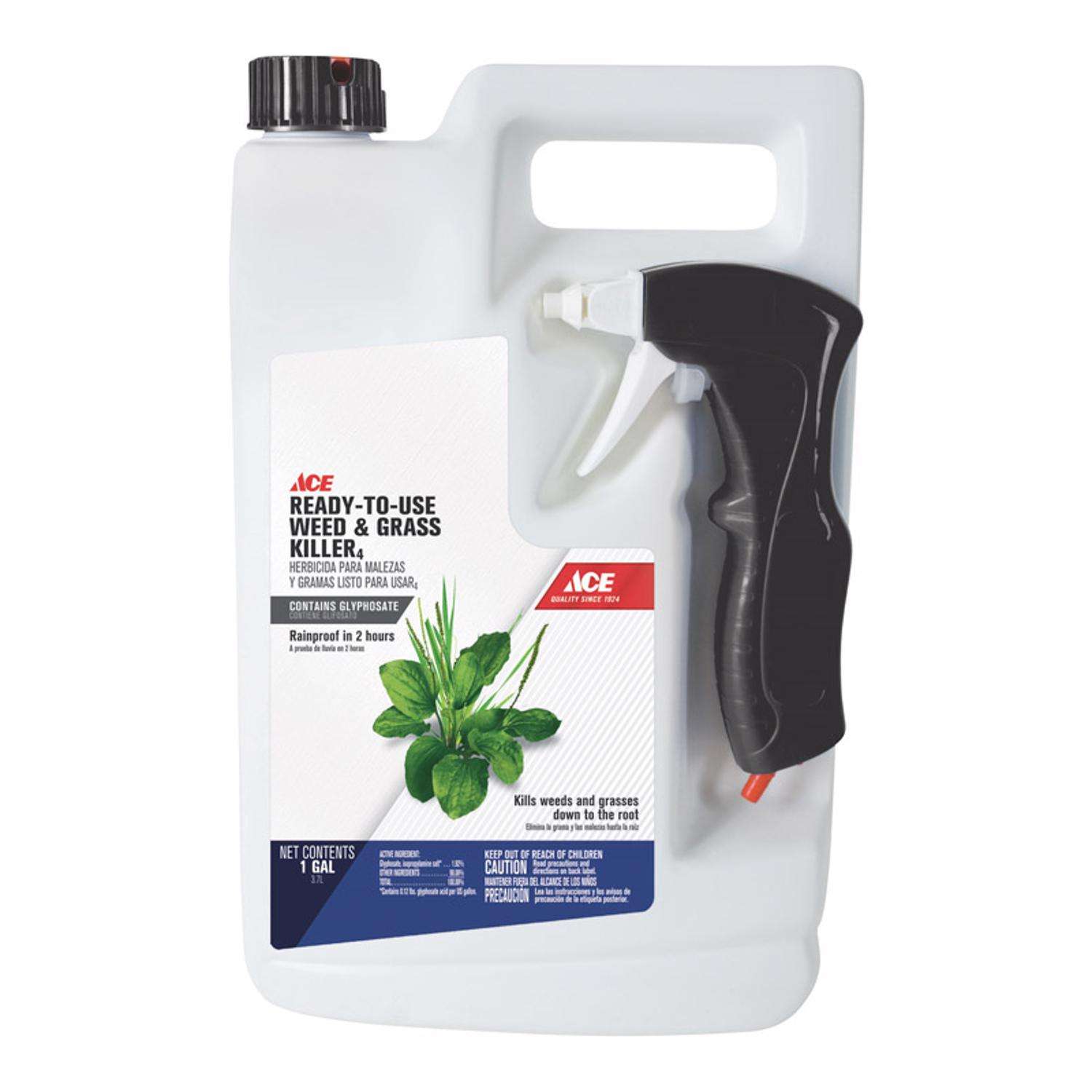 Ace Weed and Grass Killer RTU Liquid 1 gal Ace Hardware
